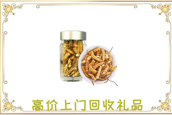 北辰周边回收虫草